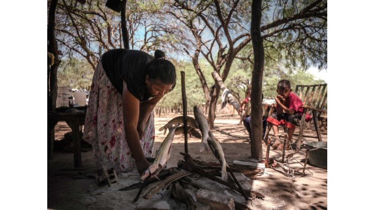 Presentación del documental «El último palo santo»