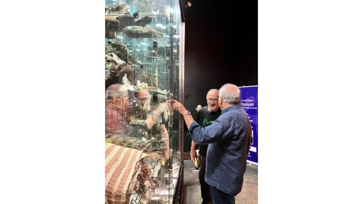 El Cabildo y las Casas Bicentenario